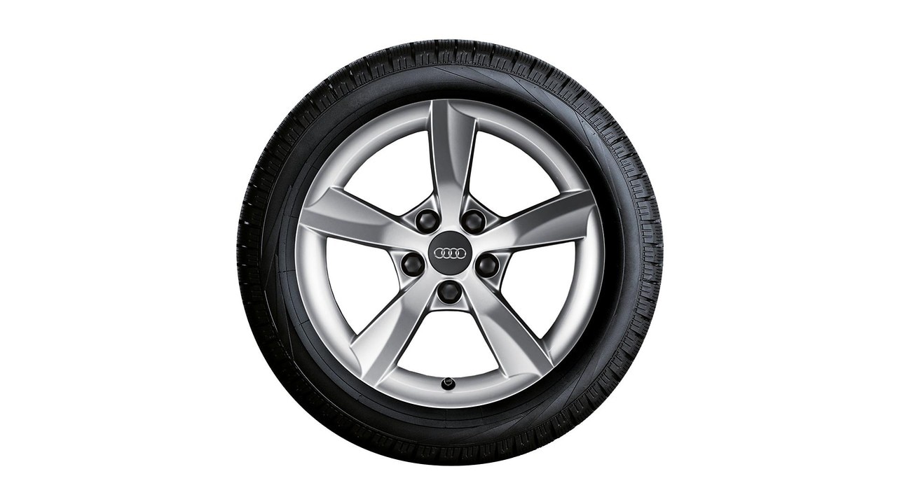Complete winter wheel in 5-arm rotor design, brilliant silver, 6 J x 16, 205/55 R16 91H, right
