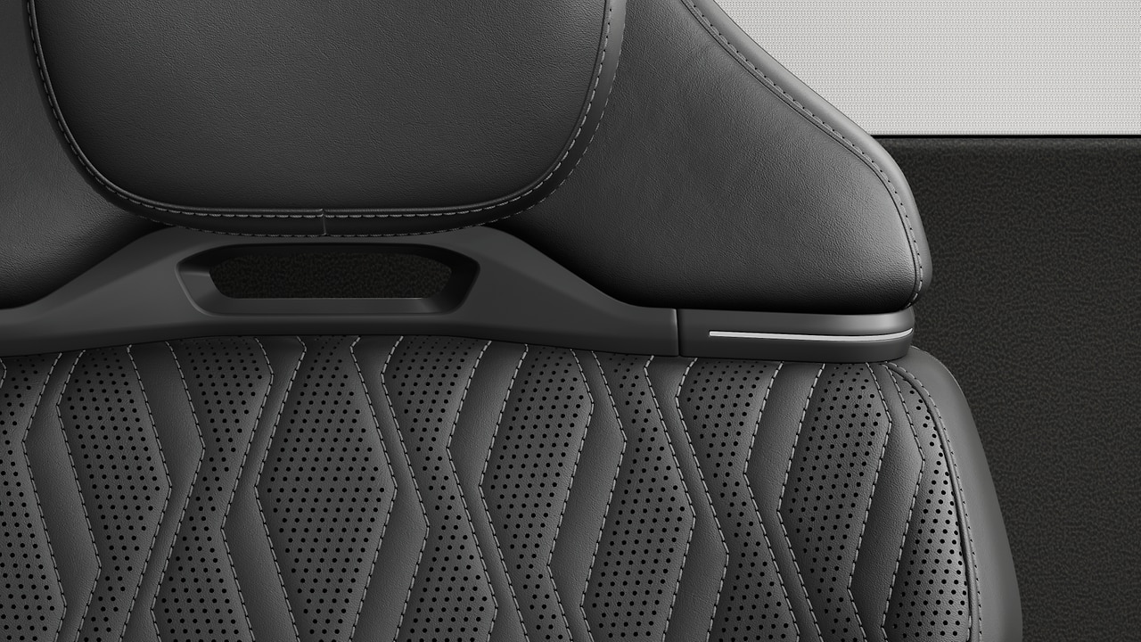 Vehicle interior color