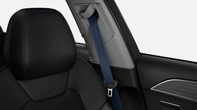Pack Design zwart en oceaanblauw, Audi exclusive