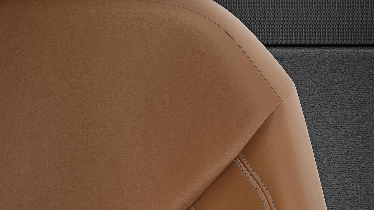 Vehicle interior color