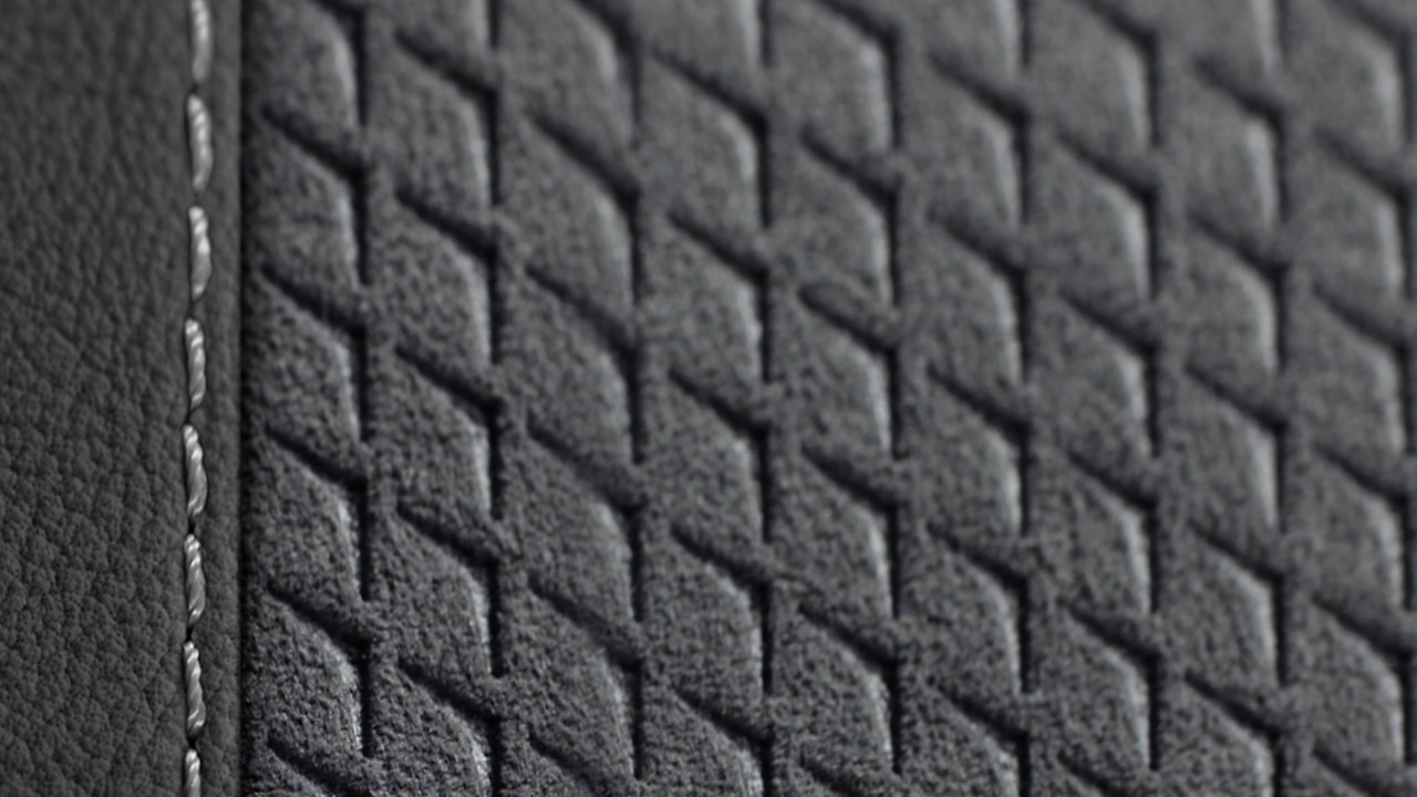Vehicle interior color