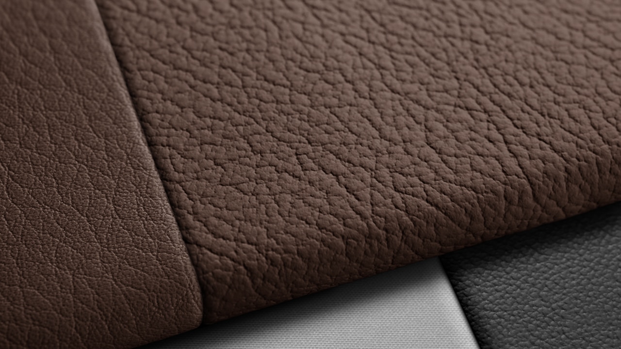 Vehicle interior color