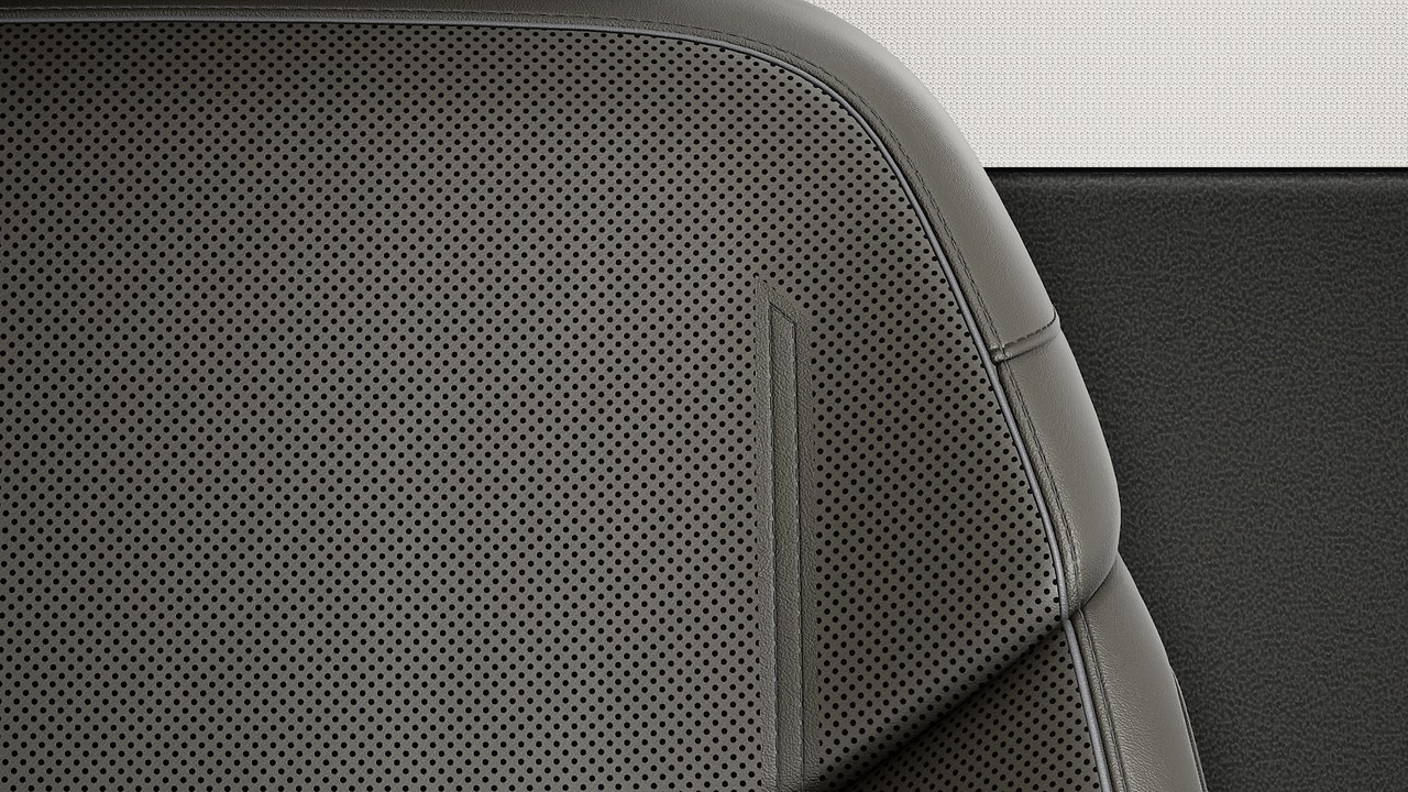 Vehicle interior color