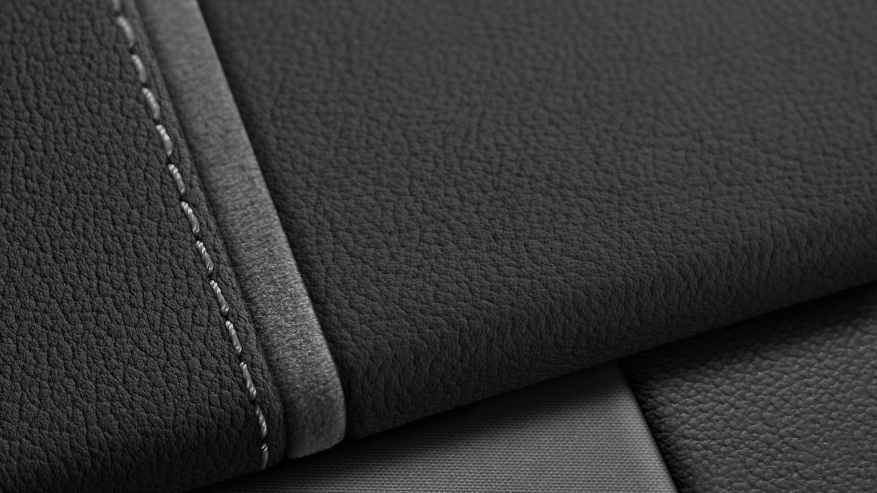 Vehicle interior color