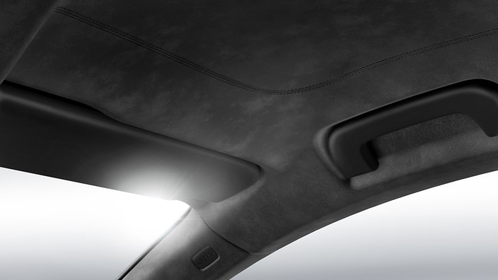 Black Alcantara® headliner
