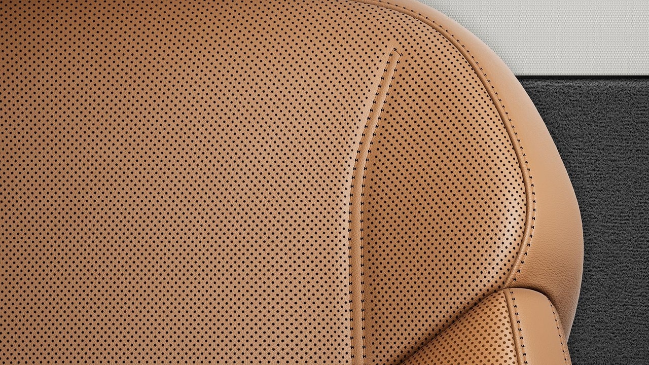 Vehicle interior color