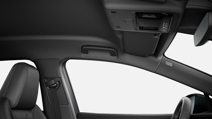 Black cloth headliner
