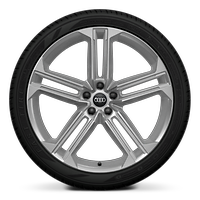 Räder, 5-Doppelspeichen-Stern S-Design, 9,0Jx21, Reifen 265/35 R21