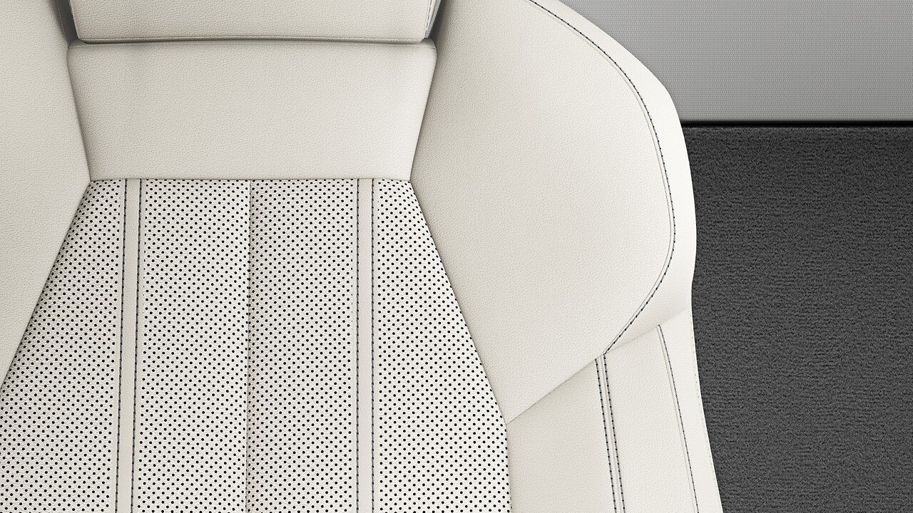 Vehicle interior color