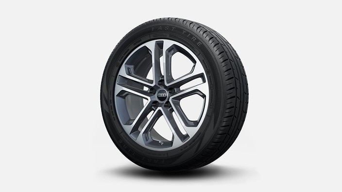 19" 5-double-spoke design wheels, bicolor finish
