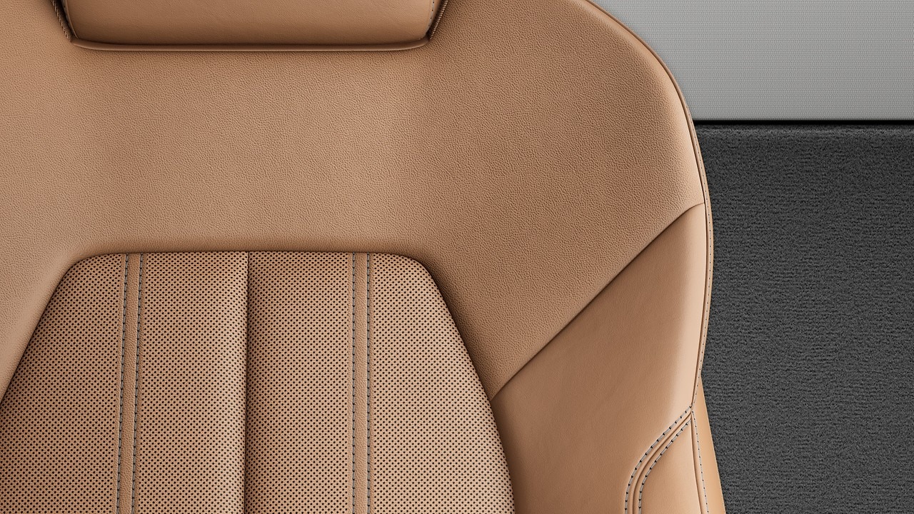 Vehicle interior color