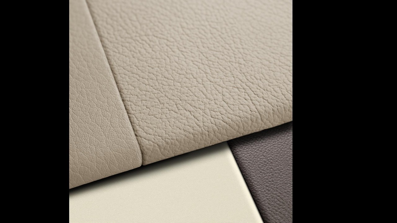 Vehicle interior color
