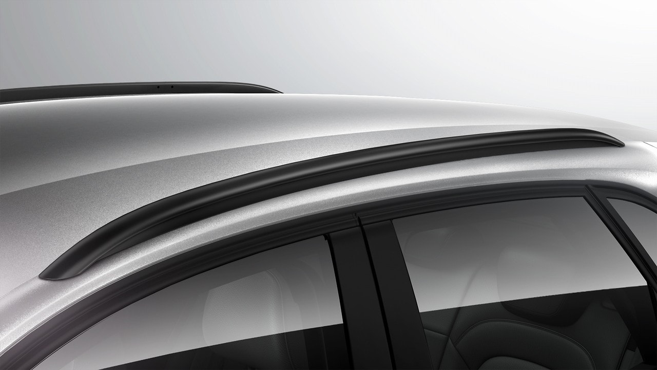Black roof rails