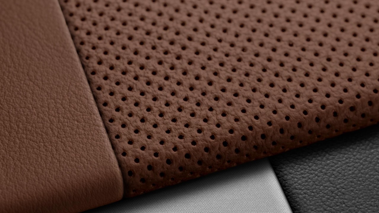 Vehicle interior color