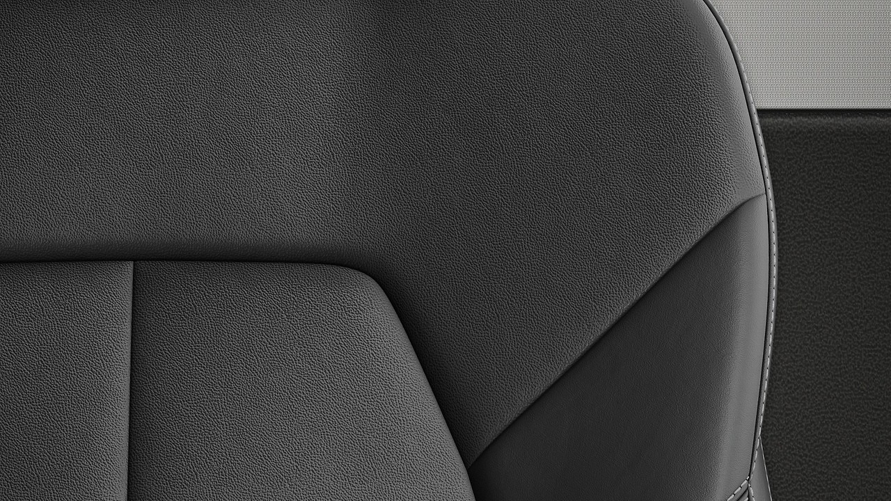 Vehicle interior color