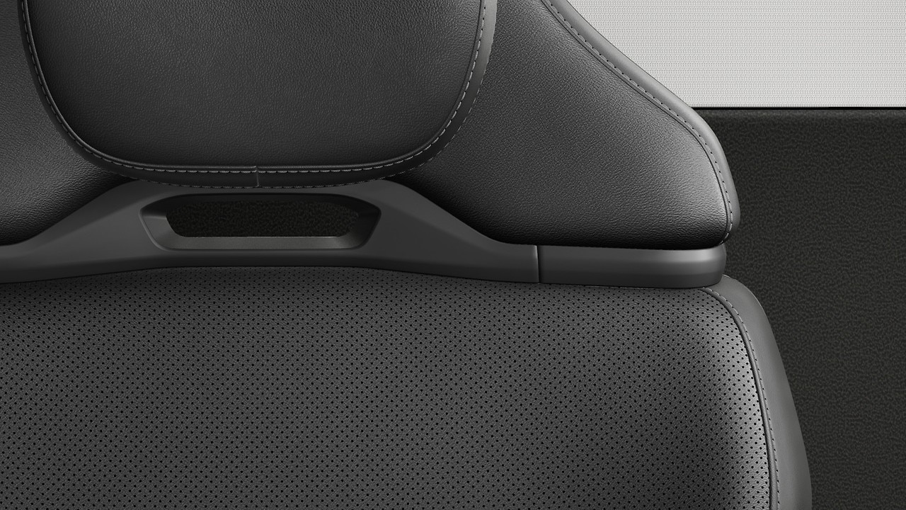 Vehicle interior color