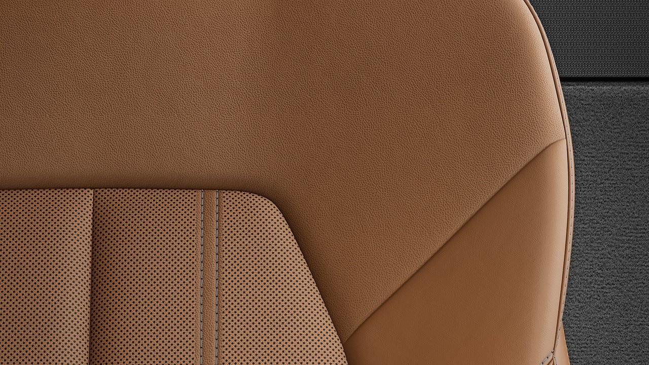 Vehicle interior color
