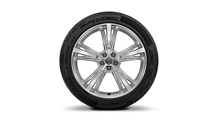 21" 5-segment-spoke design wheels