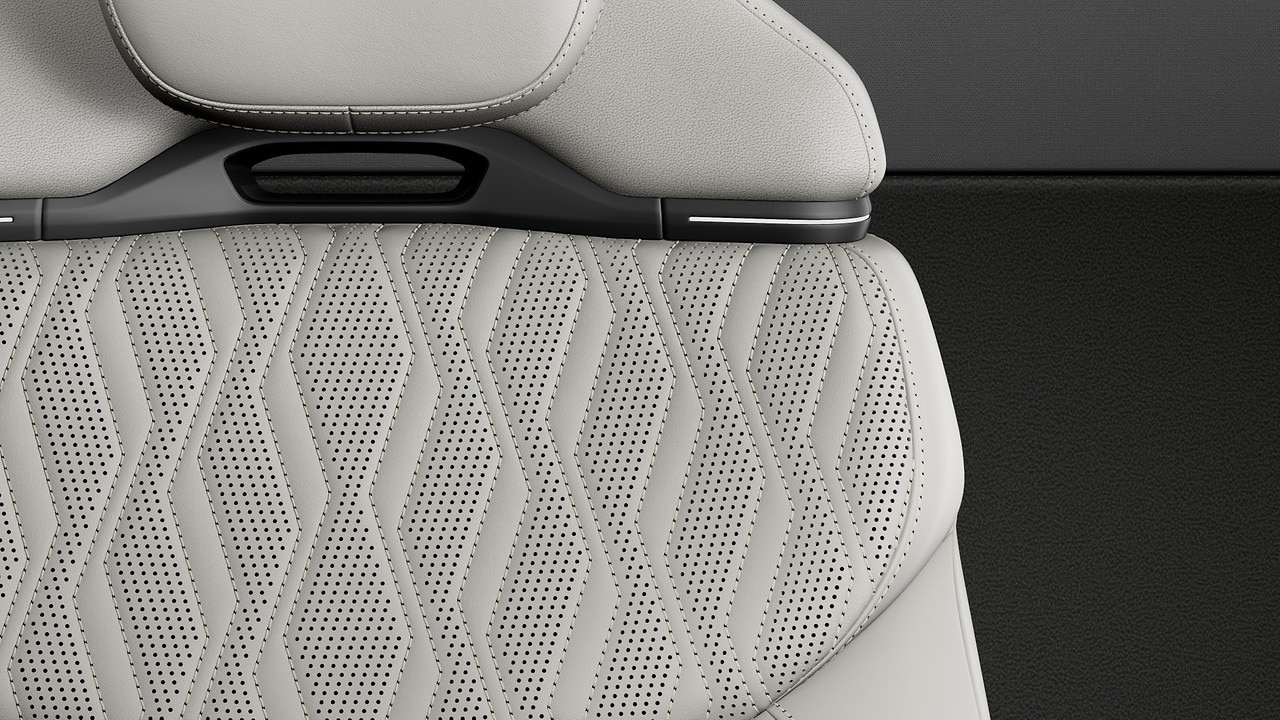 Vehicle interior color
