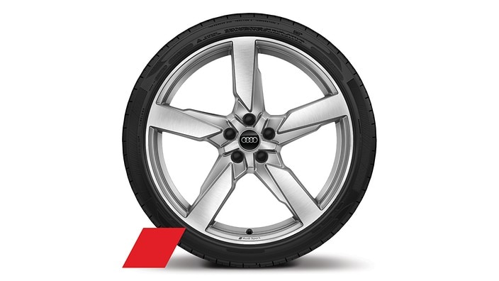 21" 5-arm-polygon design wheels&nbsp;with summer tires