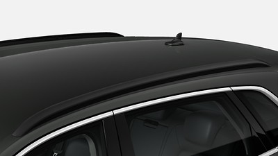 Roof rails in black (forces  High-gloss black exterior styling package)