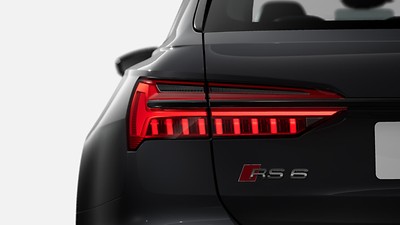LED rear lights with dynamic light presentation and dynamic indicator