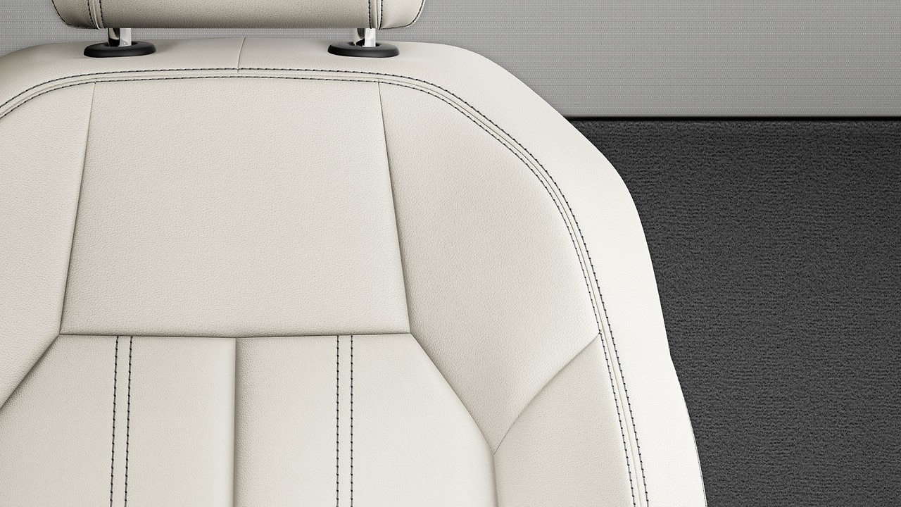 Vehicle interior color