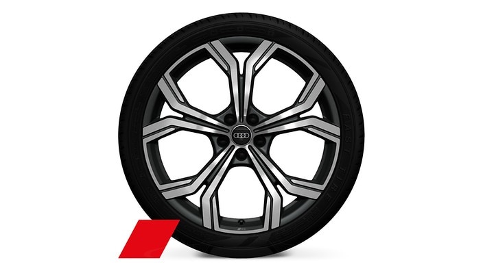 21" 5-double-spoke wheels