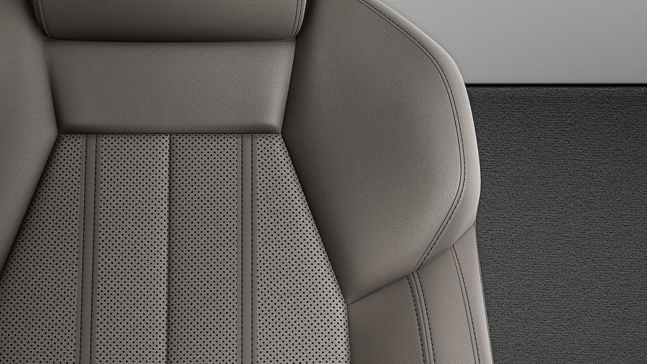 Vehicle interior color