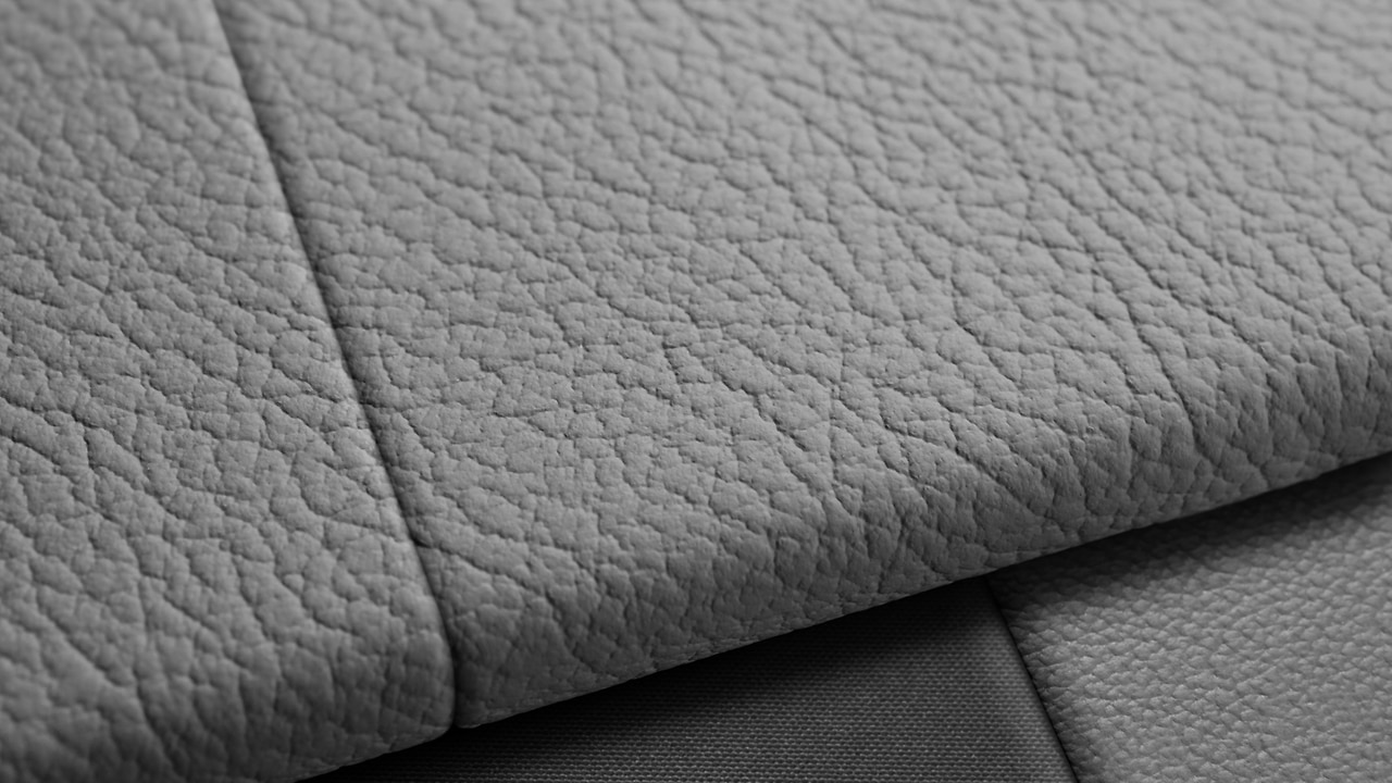 Vehicle interior color