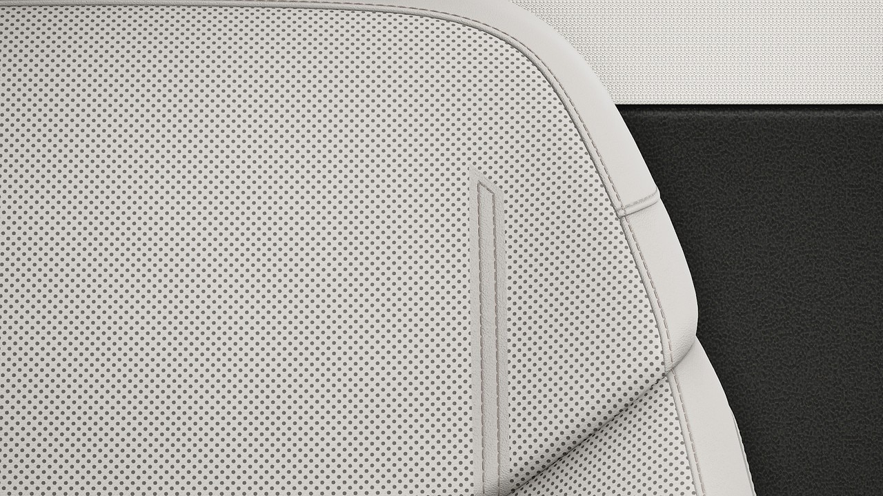 Vehicle interior color