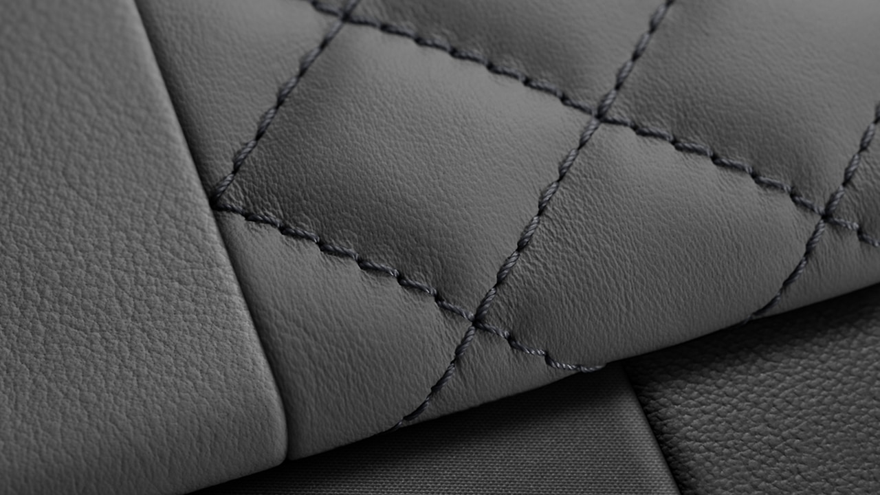 Vehicle interior color