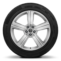 Jantes en aluminium coul&eacute; &agrave; 5 branches, 9x20, pneus 255/50 R20