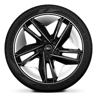 Räder, 5-Doppelspeichen-Konkavmodul-Design, schwarz mit Grafikdruck, 9,5 J | 11,5 J x 21, Reifen 265/35 | 305/30 R 21