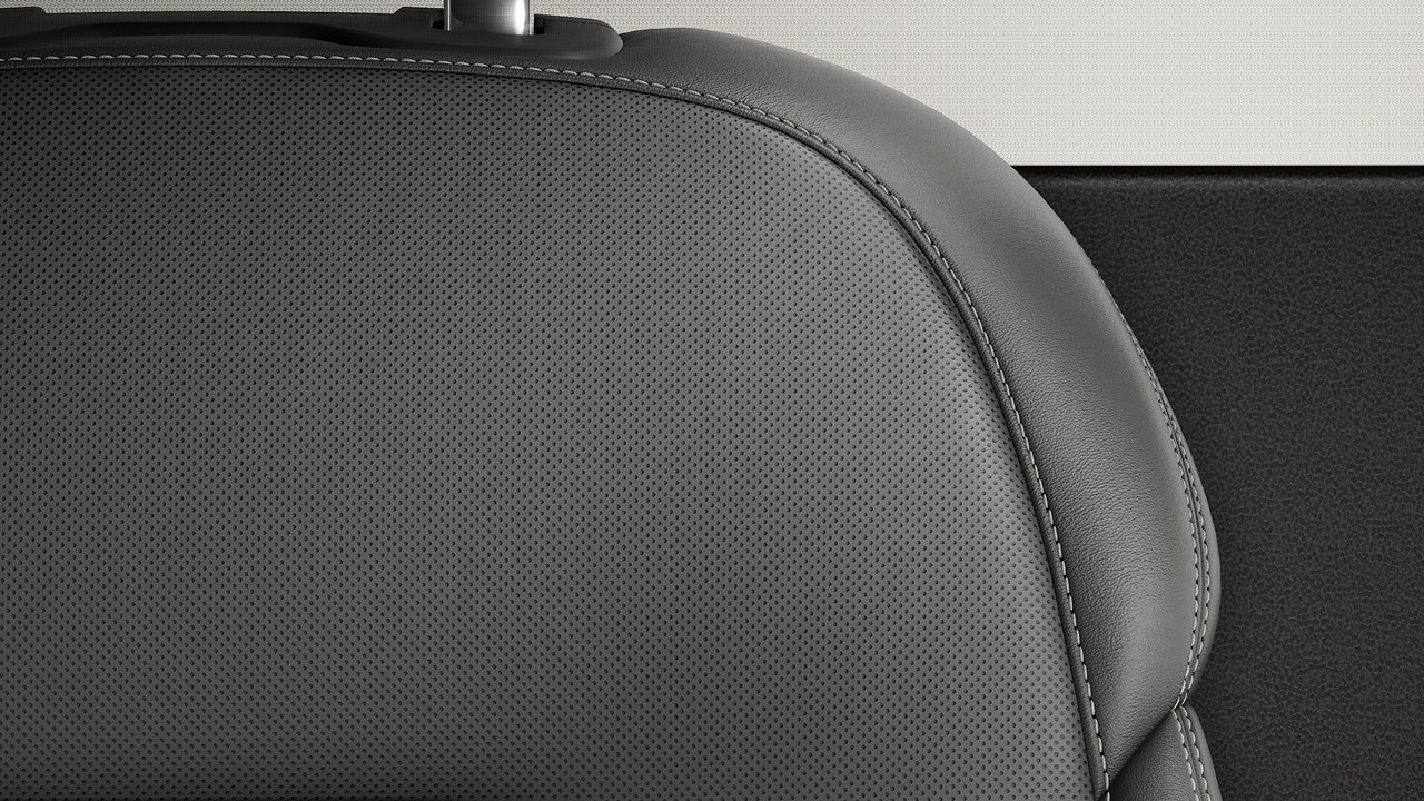 Vehicle interior color