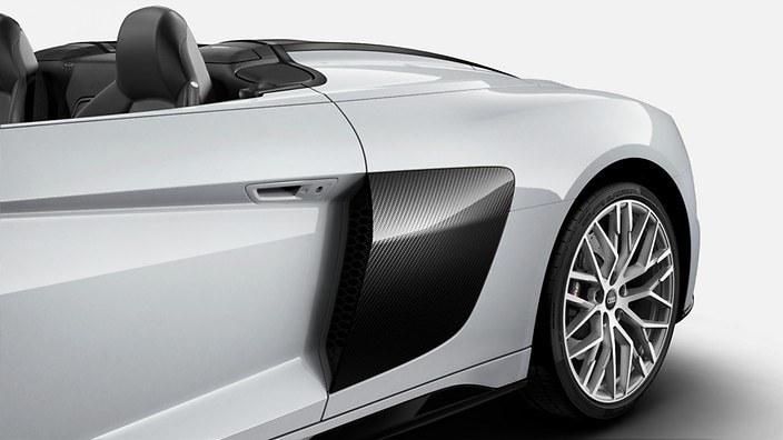 Sideblades in Carbon Fiber