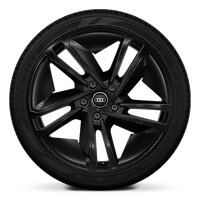 Wheels, 5-double-spoke concave module style, Black, 9.5J|11.5J x 21, 265/35|305/30 R21 tires