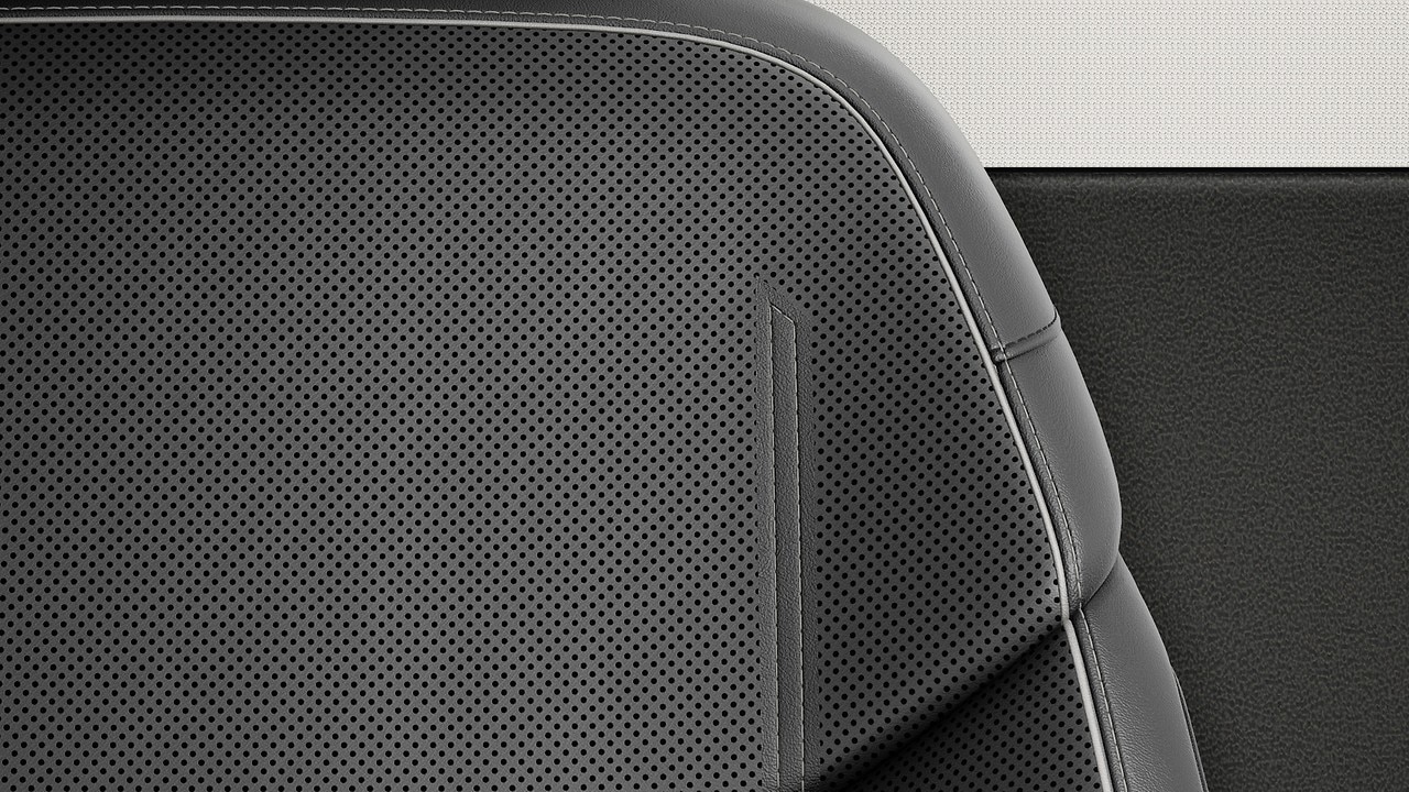 Vehicle interior color