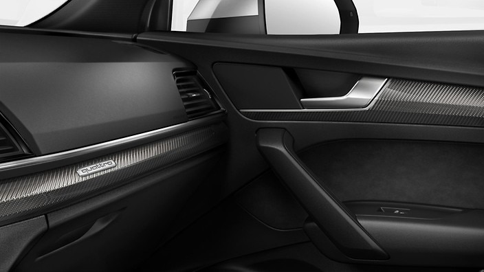 Carbon Atlas inlays