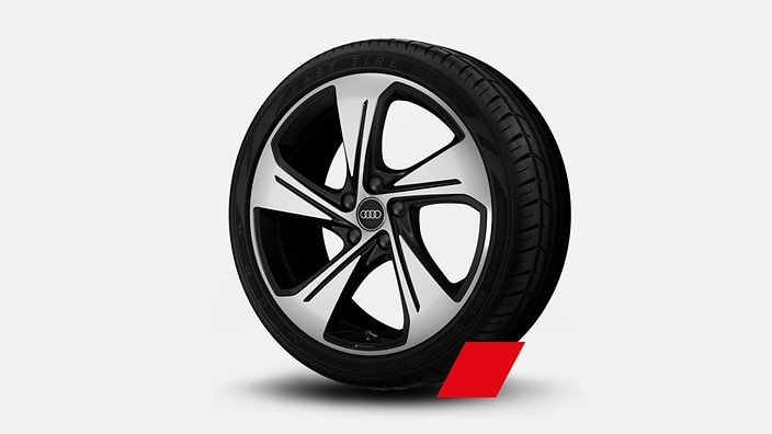 19" 5-arm-star design wheels, bicolor finish
