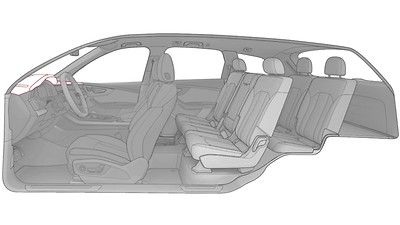 Elementos interiores superiores en cuero, Audi exclusive