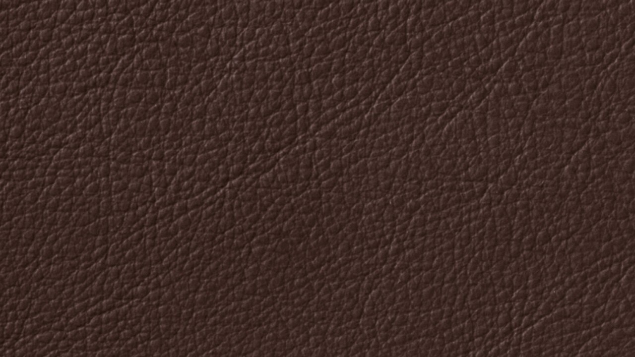 Vehicle interior color