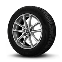 Räder, 5-Doppelspeichen, 8,0Jx18, Reifen 225/55 R18