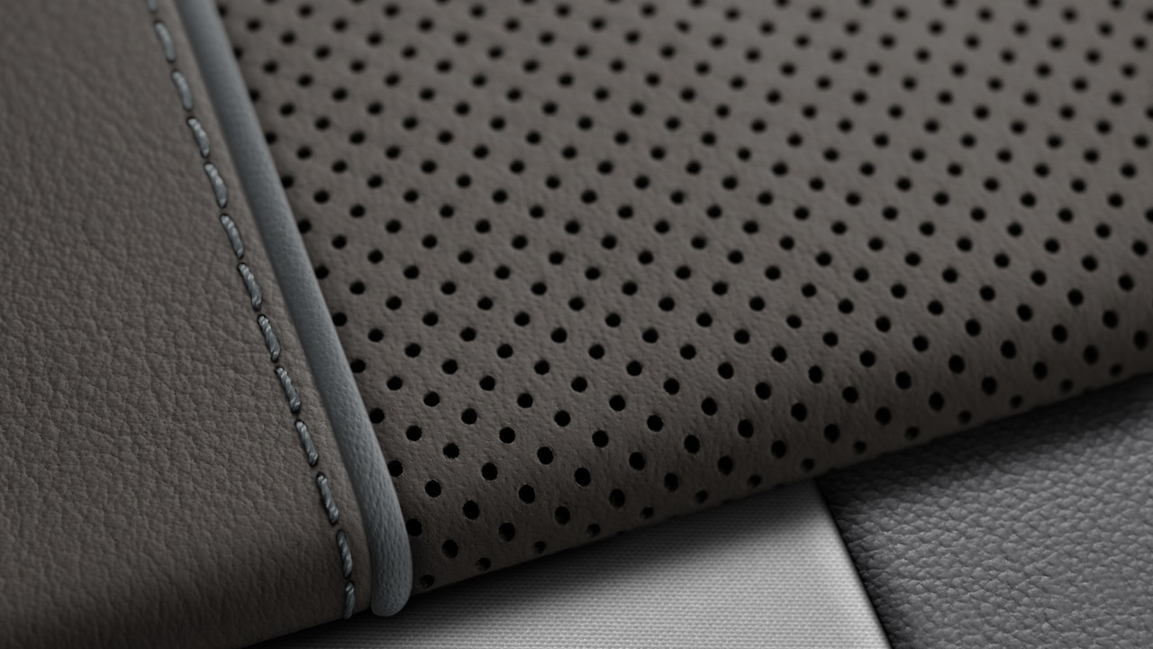 Vehicle interior color