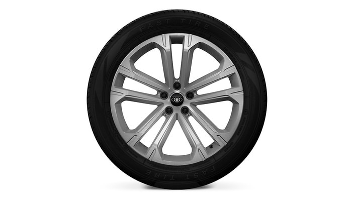 20" 5-double-spoke wheels