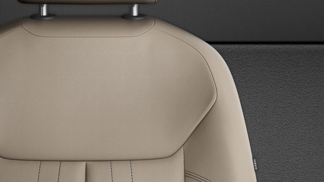 Vehicle interior color