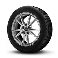 Cerchi, 5 razze doppie, 7,0Jx17, pneumatici 205/60 R17