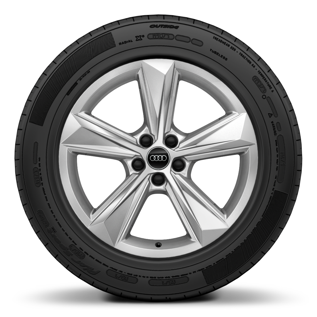Wheels, 5-arm star style, 8.5J x 19, 255/55 R19 tires