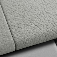Vehicle interior color