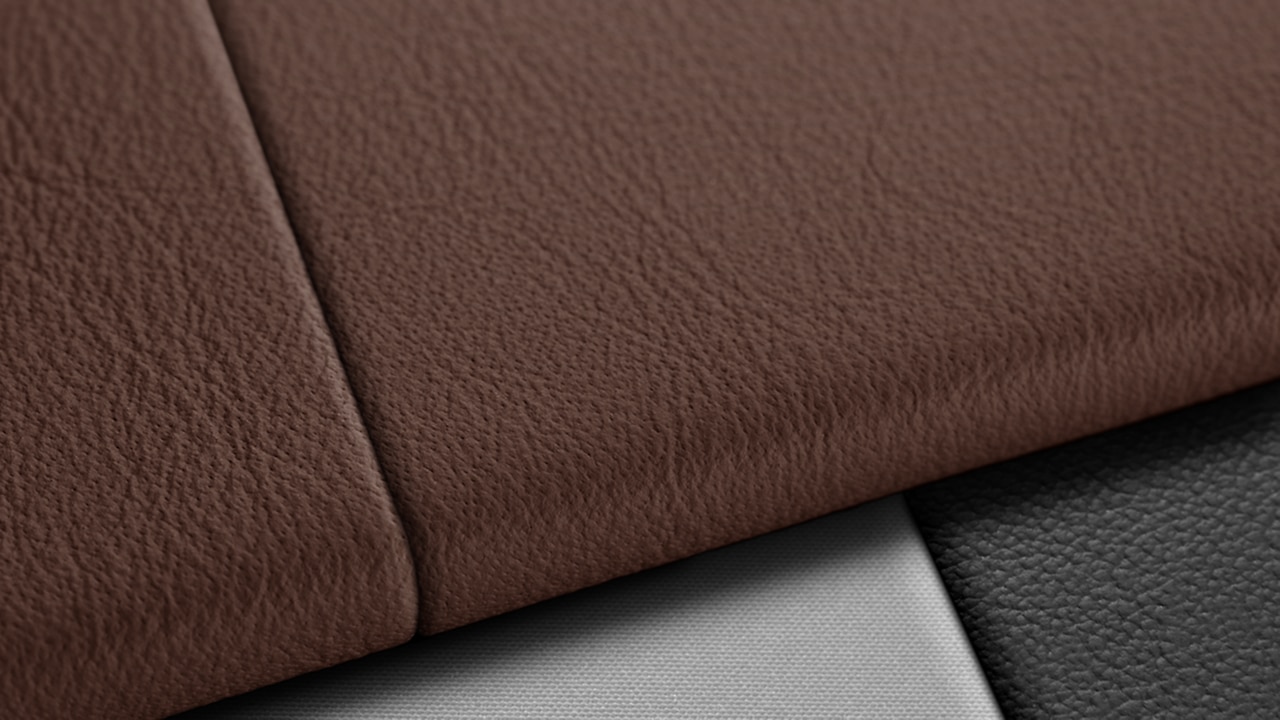 Vehicle interior color